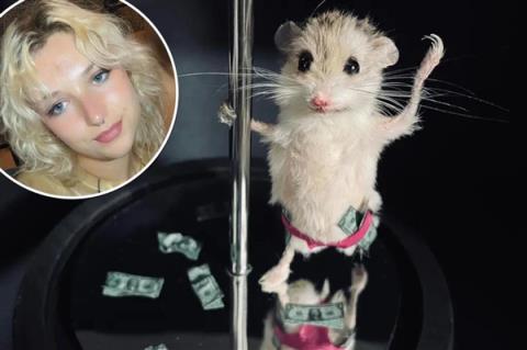 欧洲最怪博物馆:507只青蛙标本摆出人类姿势(图9)