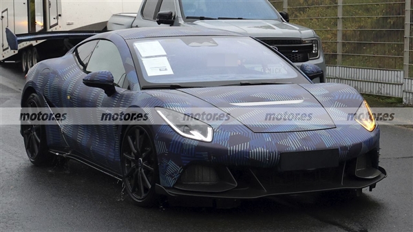 “卢浮宫被盗珠宝”惊现闲鱼 客户回应:建议用户发现举报(图1)