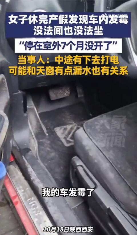女子修完产假发现车发霉 当事人:7个月没开 中途有下去打电 可能跟天窗漏水有关(图1)