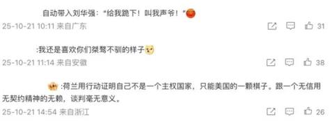 又菜又爱玩的荷兰人 在安世半导体上翻车了(图3)