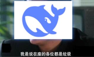 DeepSeek昨天开源的新模型 有点邪门(图14)
