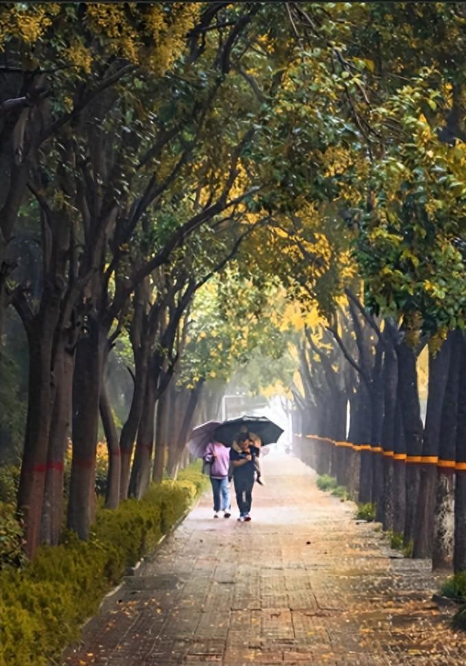 北方地区的阴雨连绵终于终结，24号台风“风神”还在持续，需关注