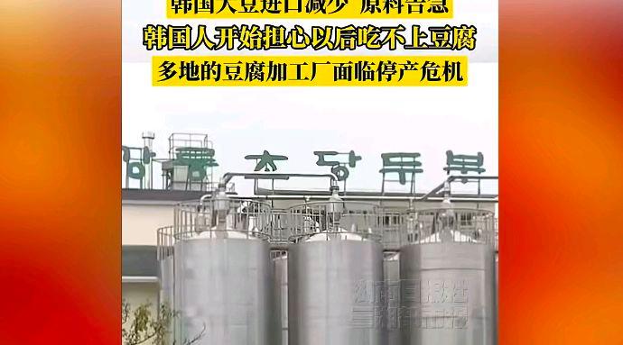 韩国人开始担心以后吃不上豆腐?网友:真操心人家会吃得好好的