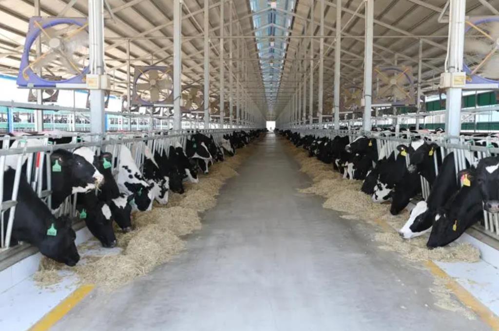 2023年养殖业什么最赚钱农村？农村养殖业需要办理什么手续