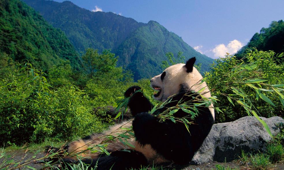 4月份去四川旅游合适吗？4月去四川旅游穿什么