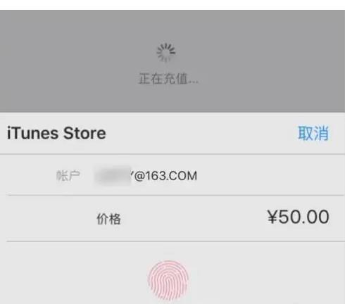十年救助白狐获保镖 群狐守护农田除鼠助农(图1)