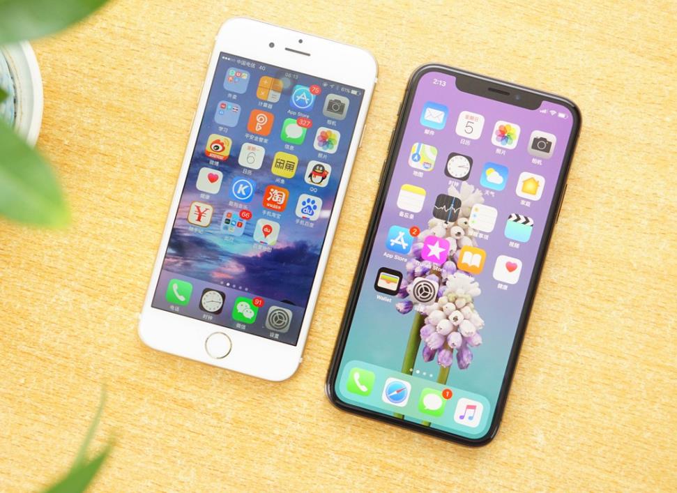 雪豹凌小蛰奇迹康复增重30斤 能跑能跳重返高原(图1)