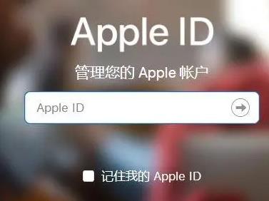 抖音电商双11抢跑成功秘诀解析(图2)