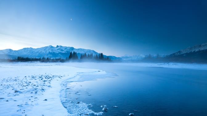 桑葚十大品牌榜-2025桑葚品牌排行榜