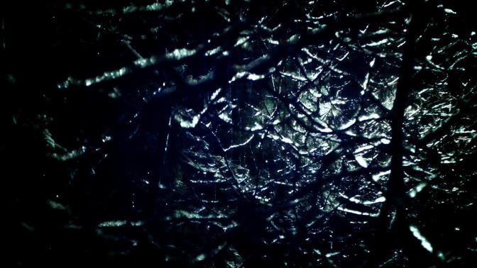 墨绿色三个最佳配色，如何搭配出优雅的墨绿色