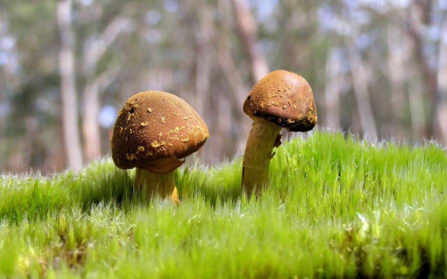 十大南昌装修公司排行:南昌装饰公司-南昌公装装修公司排行榜