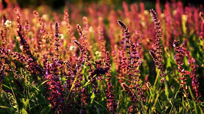 缝衣针十大品牌排行榜_缝衣针品牌排名_缝衣针品牌排行榜