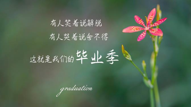 十大糖果品牌排行榜_什么牌子的糖果好