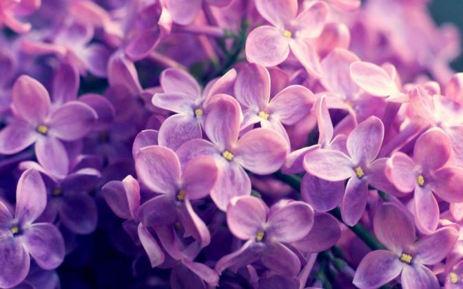 国内电助力自行车十大品牌排行榜_国内电助力自行车品牌排名_国内电助力自行车品牌排行榜