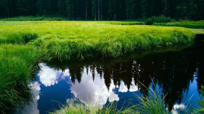 三新改革培训心得体会（专业12篇）