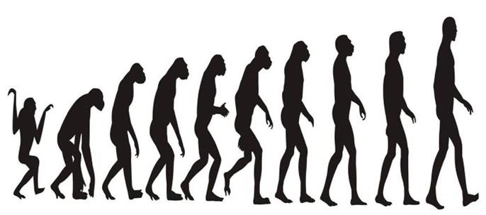 人类是不是进化来的？人类的起源地是哪