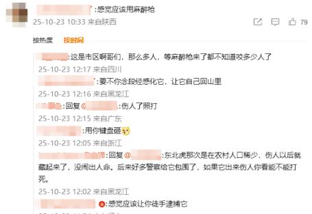 皮卡都拉不下!黑龙江一地惊现黑熊上街:已被妥善处置(图2)