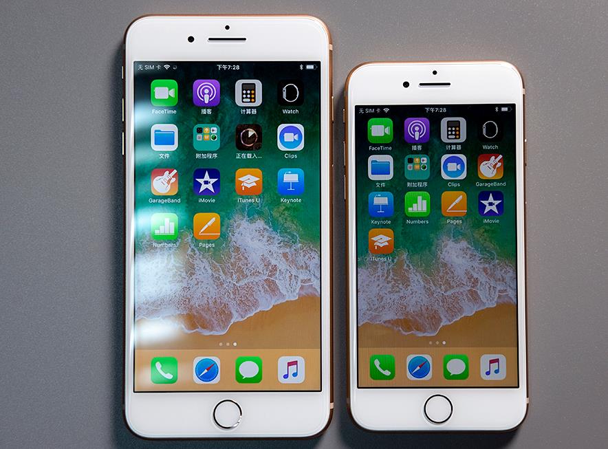 苹果手机如何找到id密码和账号信息（iphoneid密码找回方法详解）