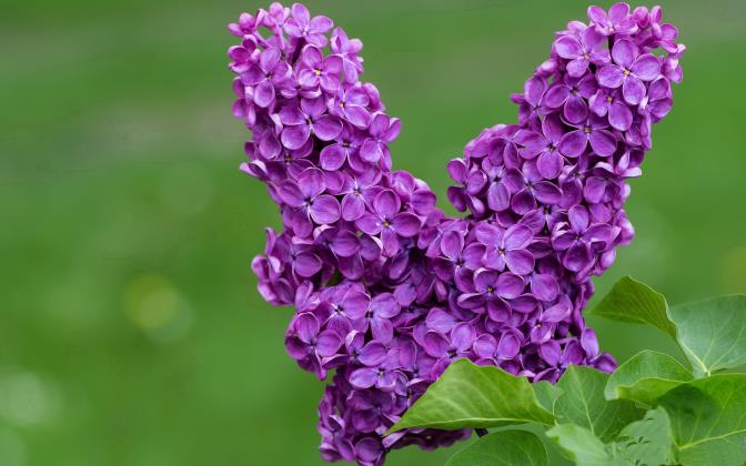 厨房置物架品牌排名_厨房置物架十大品牌排行榜_厨房置物架哪个牌子好