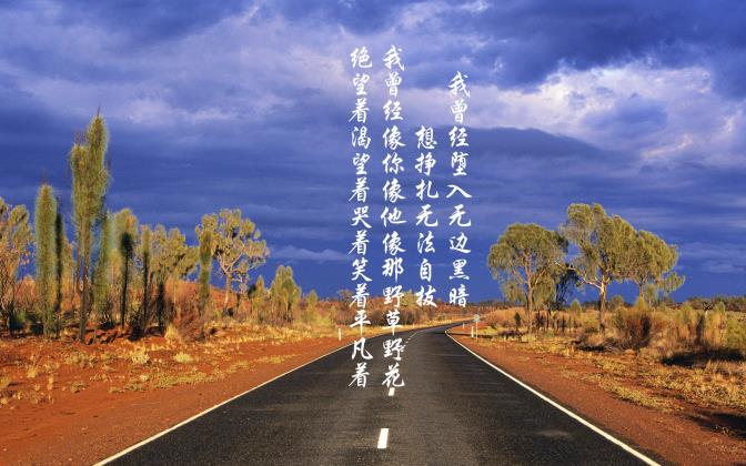 十大网线品牌排行榜_什么牌子的网线好