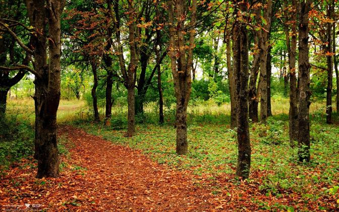 日本十大企业-十大日本品牌排行榜