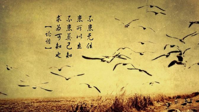 谢贤个人资料简介_谢贤演过的电影电视剧有哪些