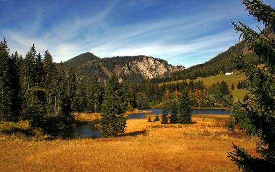 美团住吧投影仪连接WiFi超简单，手把手教你搞定！