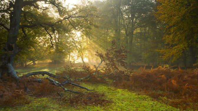2025年水轮机十大品牌排行榜
