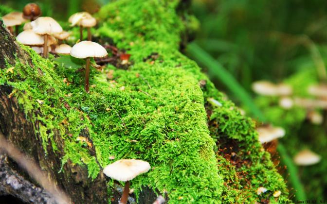 箱包哪个牌子好？2025箱包十大品牌排行榜