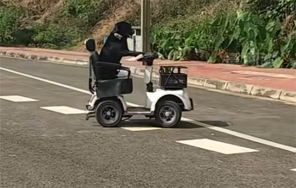 国内首个融合快充无线充电标准发布：实现互联互通 提升用户体验(图2)