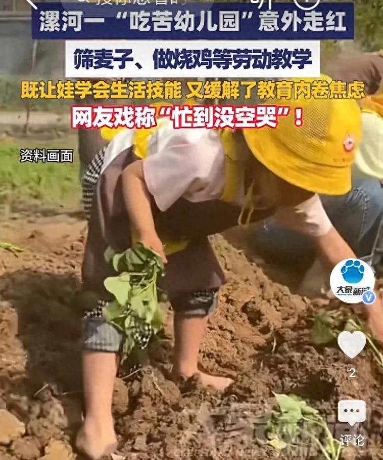 河南一幼儿园因“吃苦式”教学走红：5岁娃做烧鸡成长在烟火气里