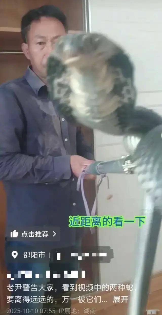 被蛇咬失联男子友人:他嫌贵没打血清 独居老人失踪引关注