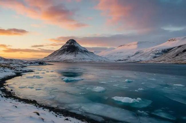 冰岛首次发现蚊子!世界上没有蚊子的地方,只剩这里了 气候变化打破无蚊纪录