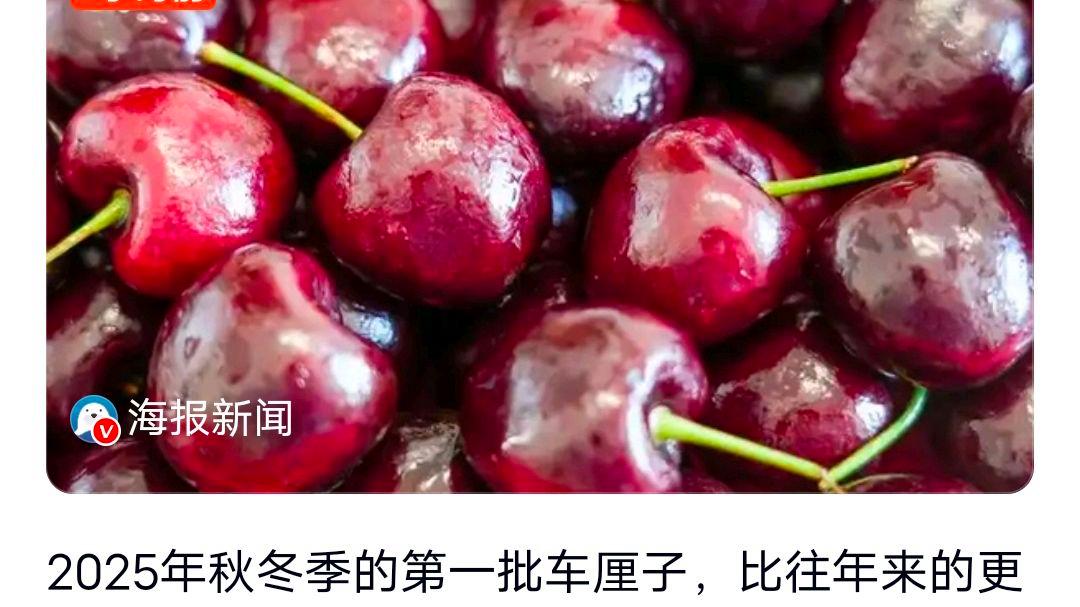 今冬第一批车厘子一箱近1000元?网友:一骑红尘妃子笑吃的新鲜