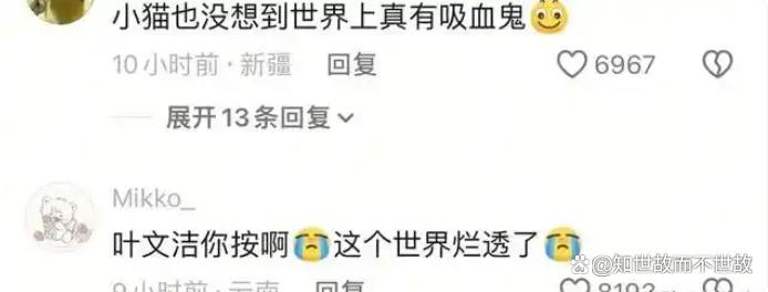 流浪猫沦为“移动血袋”:起底广州动物血库灰色产业链