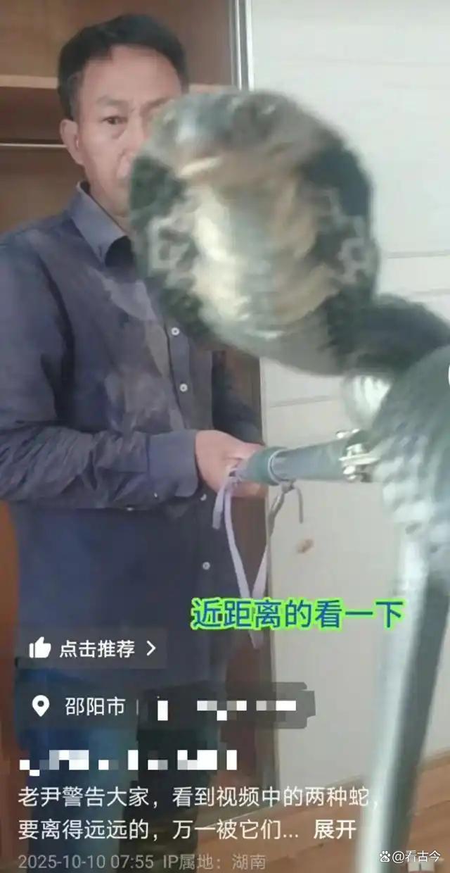 60岁男子直播挖毒蛇被咬?他嫌贵没打血清?失联至今
