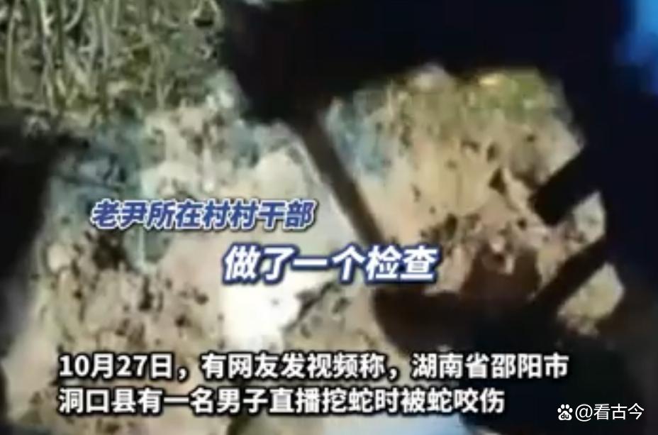 60岁男子直播挖毒蛇被咬?他嫌贵没打血清?失联至今