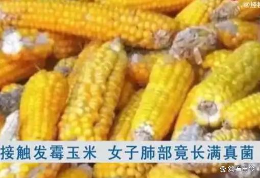 发霉玉米竟成肺部“杀手”?女子接触后肺部全白