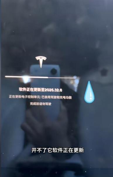 杨天真吐槽特斯拉系统更新打不开车门 只能从后备箱爬进去(图2)