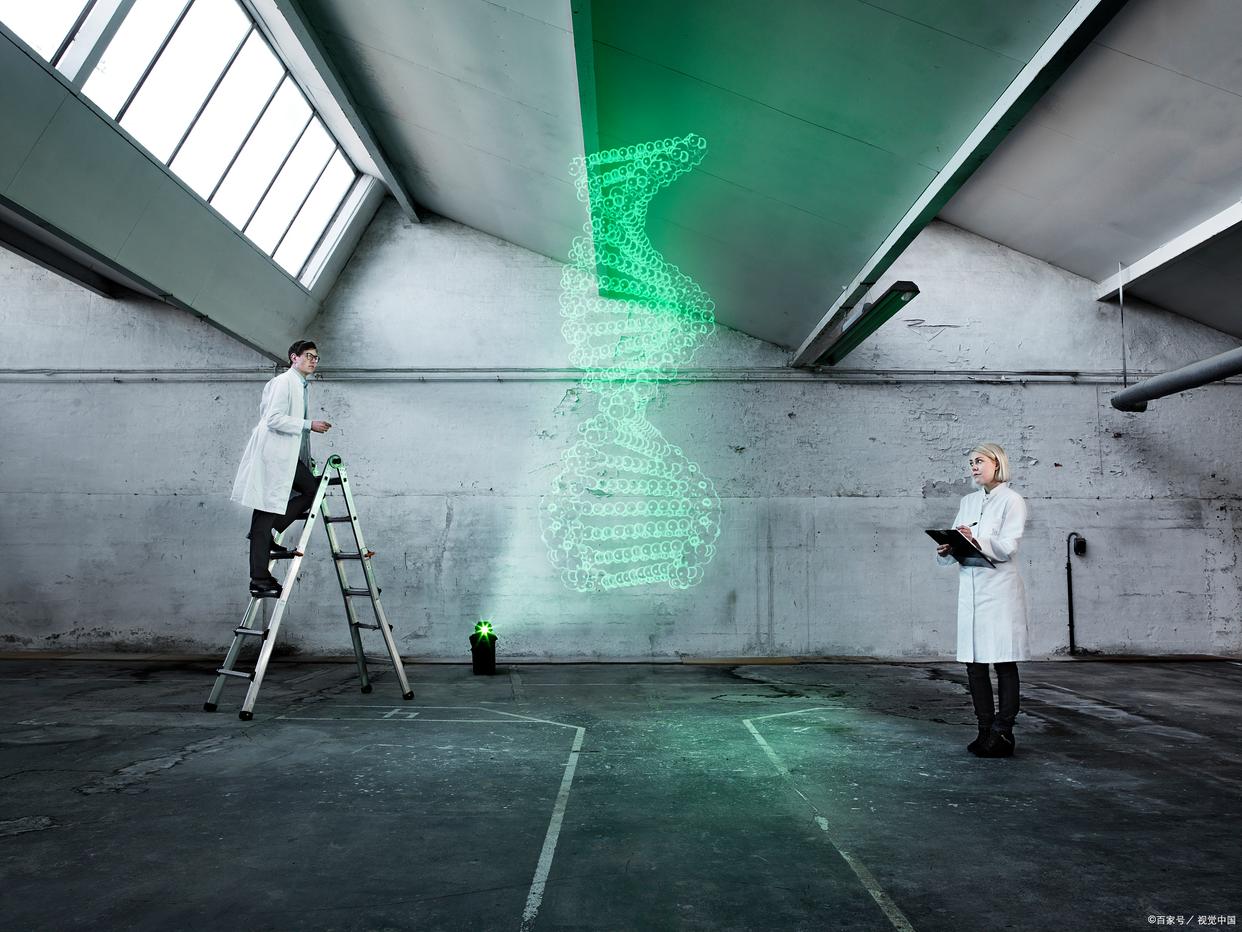 岁岁重阳今又至:总台特别节目如何诠释新时代敬老美学