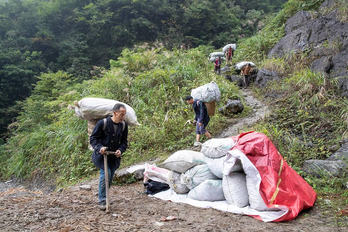 男子10年进山371次捡2万多斤垃圾:一个普通人创造的环保奇