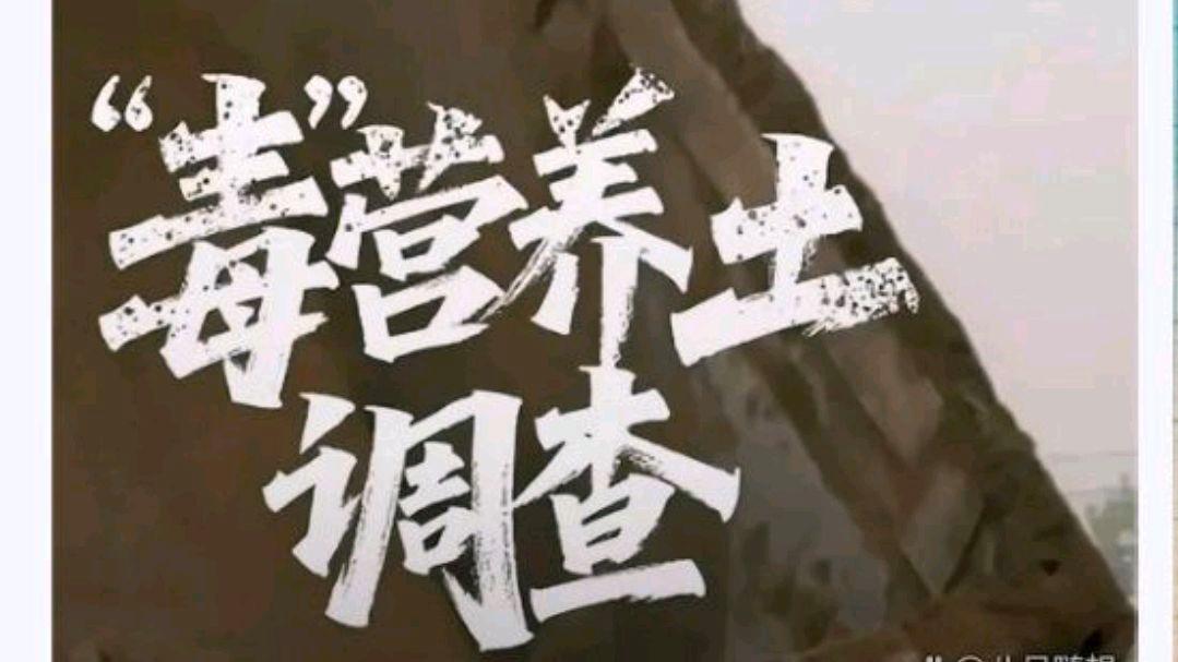 你种菜的“营养土”可能有毒?网友:市场能监管到吗