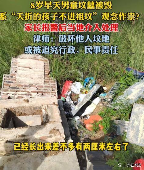 8岁男童意外去世后坟墓遭破坏 悲剧再添伤痛