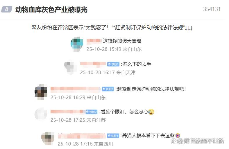 官方介入动物血库抽流浪猫血牟利:灰色产业链下的宠物输血真相