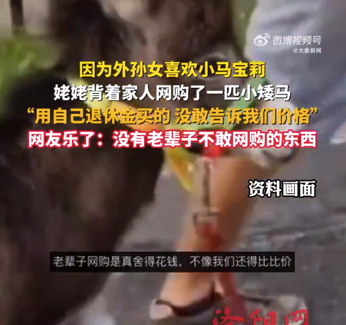 硬核宠爱!姥姥为外孙女网购小矮马
