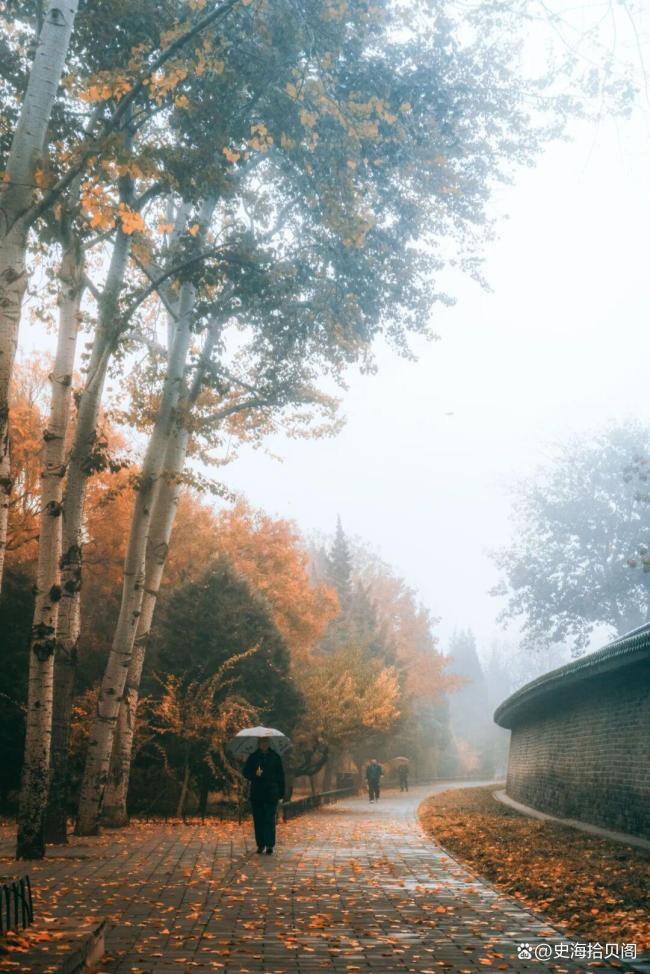 北京降温快速入冬 忽如一夜冷风来