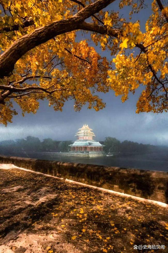 北京降温快速入冬 忽如一夜冷风来