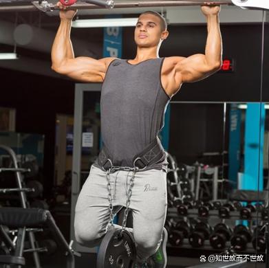 每天练背8分钟是回报率最高的运动!健身圈最被低估的黄金法则