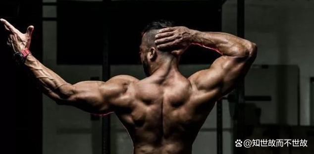 每天练背8分钟是回报率最高的运动!健身圈最被低估的黄金法则
