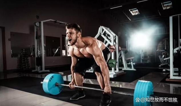 每天练背8分钟是回报率最高的运动!健身圈最被低估的黄金法则